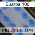 Виагра 100 21